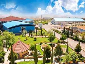 شیرازز